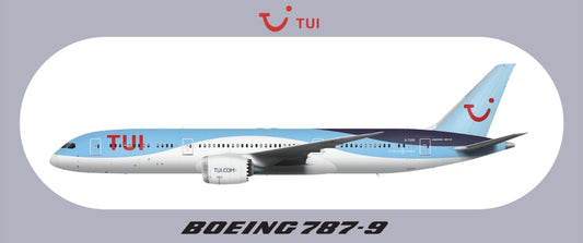 RBF現貨  TUI 787-9 9.5X5.7CM STICKER 貼紙 S-R-789-TB *free shipping* 全球免運費