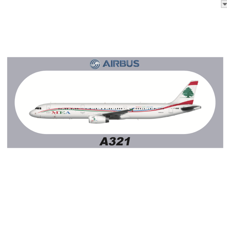 RBF現貨  MEA A321 20x8.8CM STICKER 貼紙 S-R-321-ORME *free shipping* 全球免運費