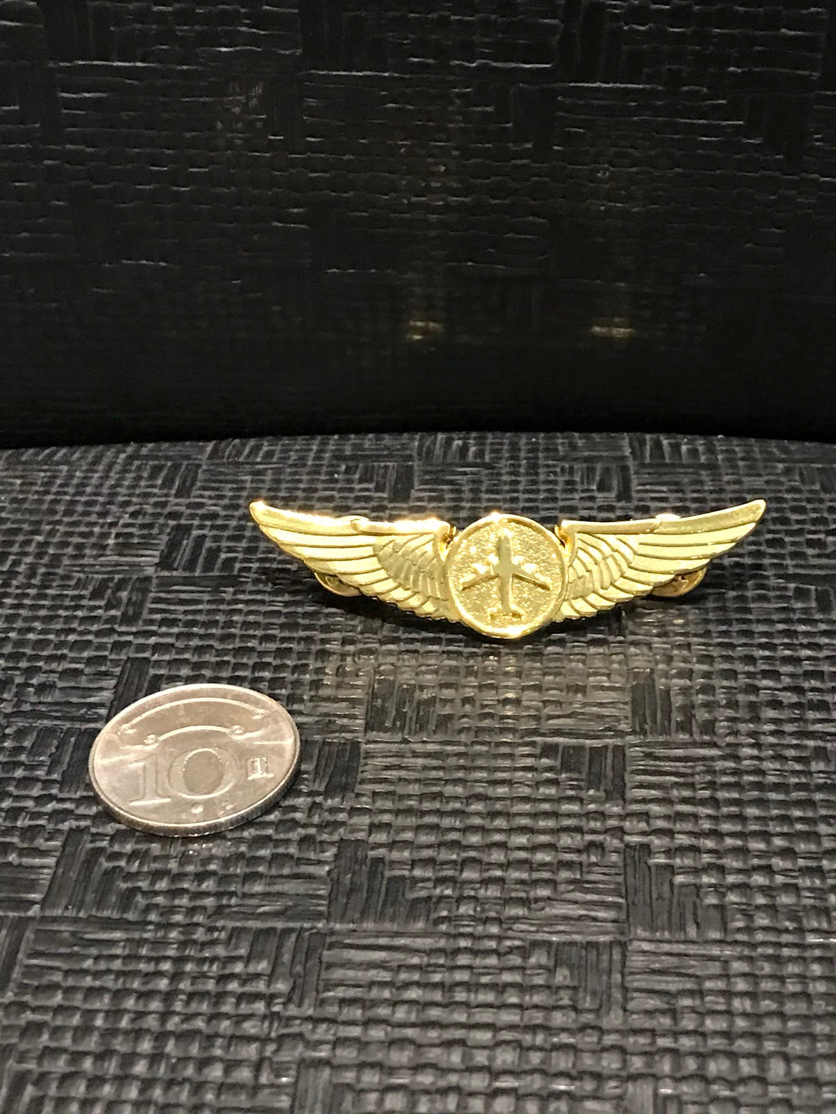 RBF現貨  PILOT WING METAL 機師胸章 PILOT-WING *free shipping* 全球免運費