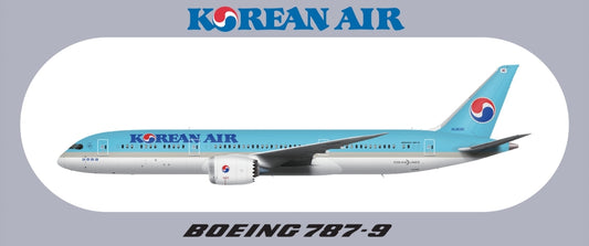 RBF現貨  KOREAN 787-9 9.5X5.7CM STICKER 貼紙 S-R-789-KA *free shipping* 全球免運費