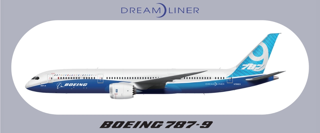 RBF現貨  787-9 9.5X5.7CM STICKER 貼紙 S-R-789 *free shipping* 全球免運費