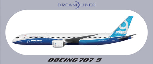 RBF現貨  787-9 9.5X5.7CM STICKER 貼紙 S-R-789 *free shipping* 全球免運費