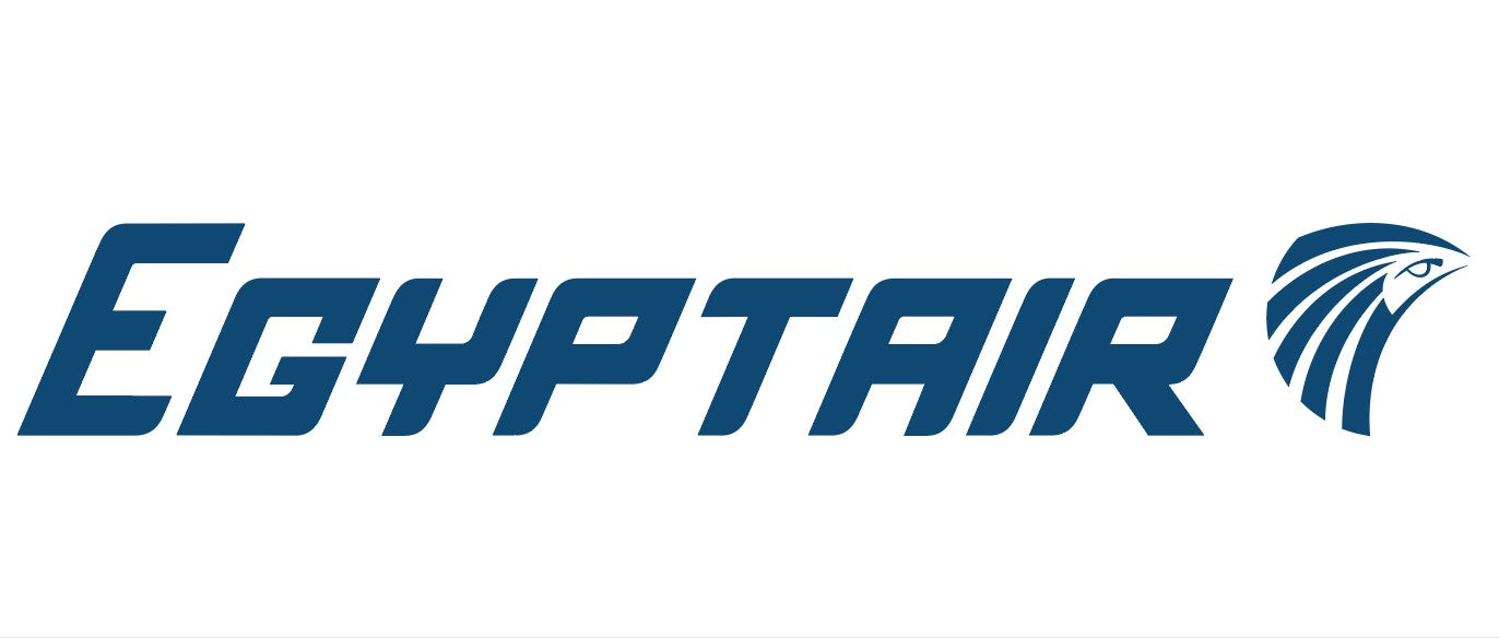 RBF絕版  Logo EGYPT AIR 20X8.8CM STICKER 貼紙 S-R-EGYPT *free shipping* 全球免運費