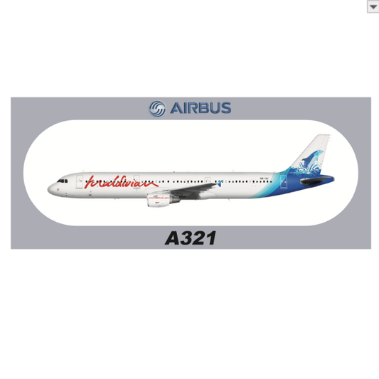 RBF現貨  MALVIDIAN A321 20x8.8CM STICKER 貼紙 S-R-321-IAI *free shipping* 全球免運費