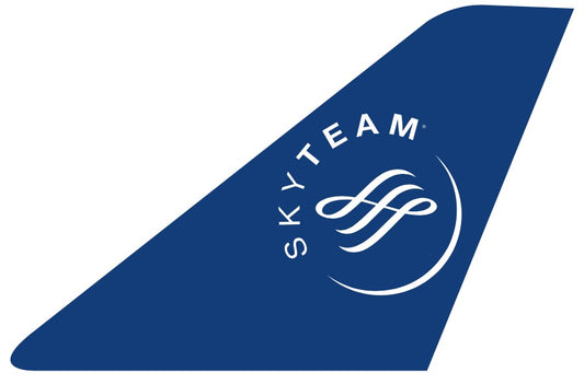 RBF現貨  SKYTEAM 10CM STICKER 貼紙 S-T-ST *free shipping* 全球免運費